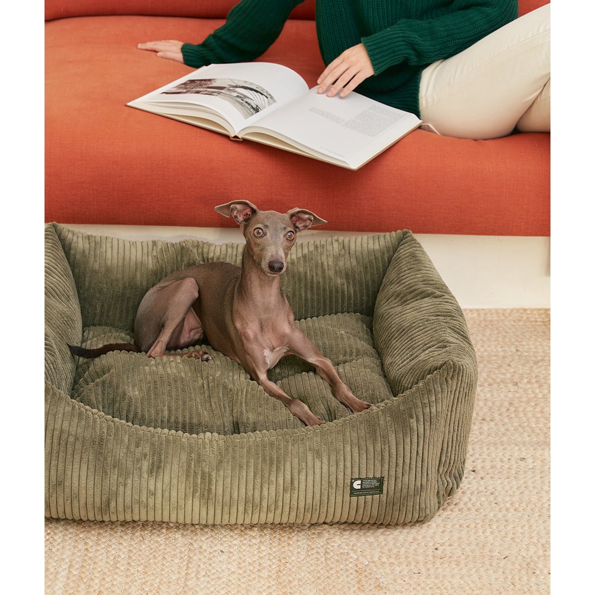 Sfeerbeeld van een hond liggend in een Groene hondenmand met ribfluwelen corduroy stof van het merk cafide